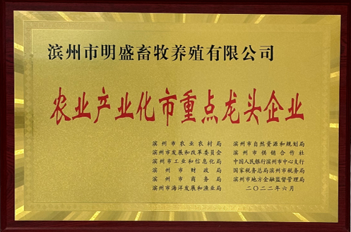 证书一